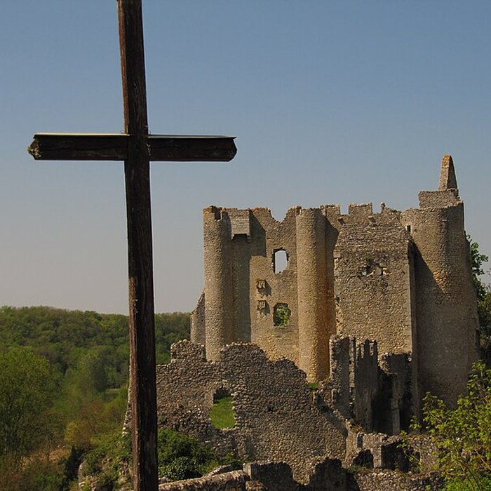 Photo de Château dAngles-sur-lAnglin