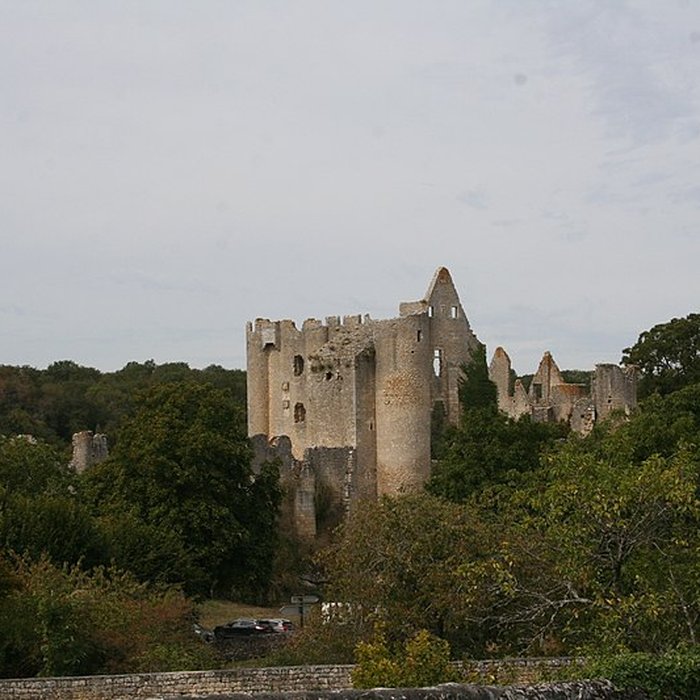 Photo de Château dAngles-sur-lAnglin
