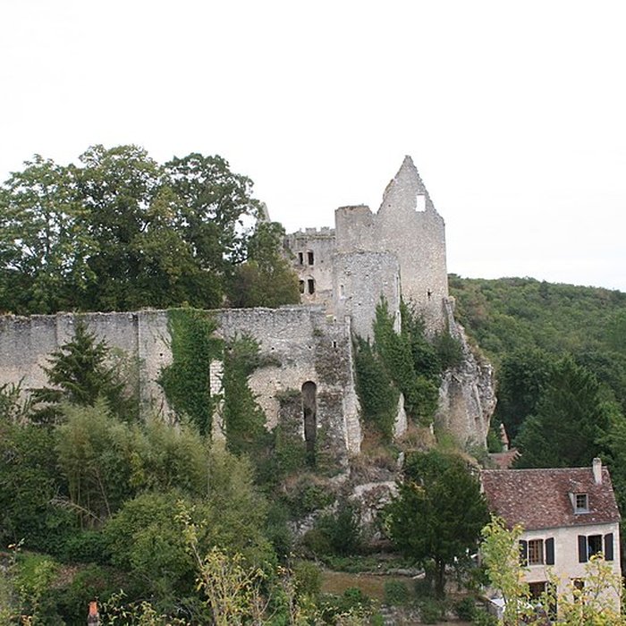 Photo de Château dAngles-sur-lAnglin
