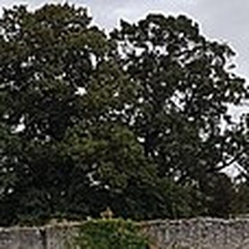 Château dAngles-sur-lAnglin