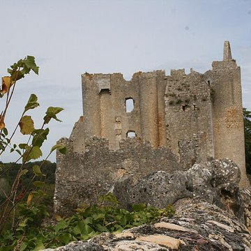 Château dAngles-sur-lAnglin