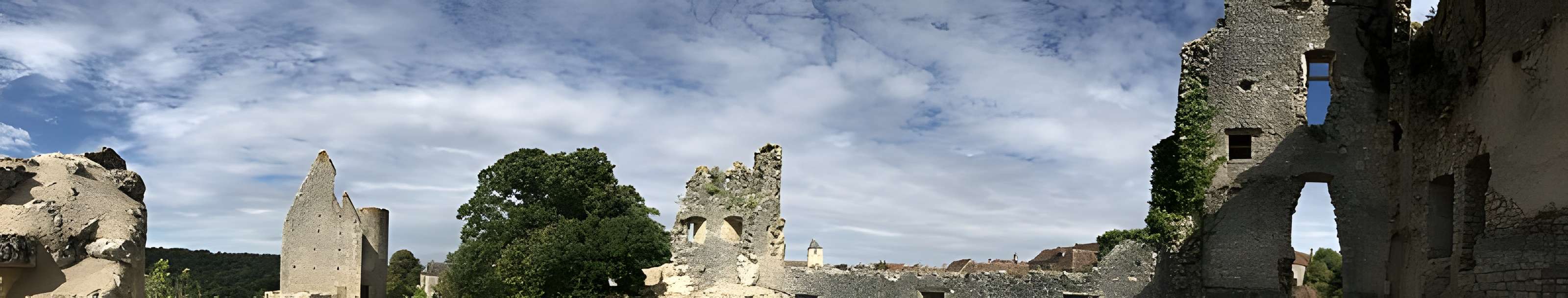 Château d'Angles-sur-l'Anglin
