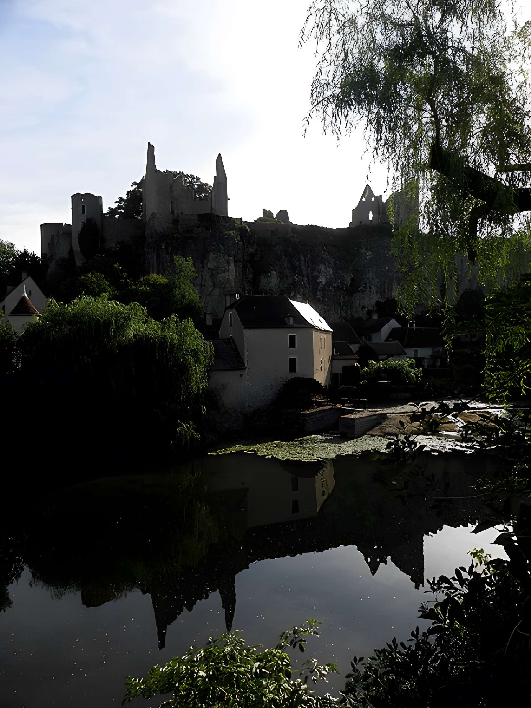 Château d'Angles-sur-l'Anglin