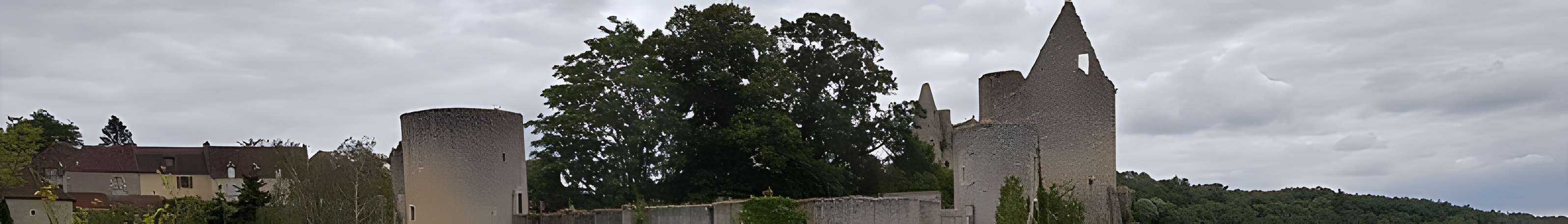 Château d'Angles-sur-l'Anglin