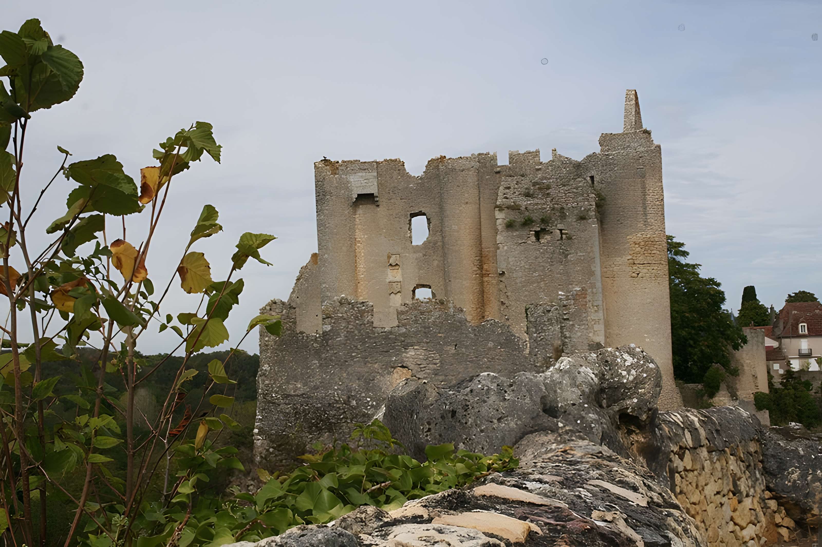 Château d'Angles-sur-l'Anglin