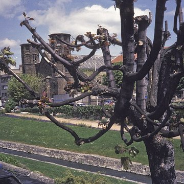 Eglise des Carmes