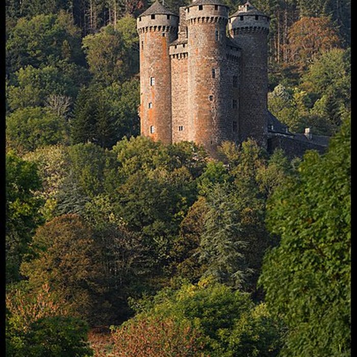 Photo de Château dAnjony