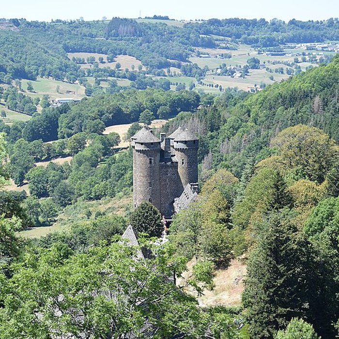 Photo de Château dAnjony