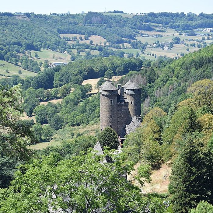 Photo de Château dAnjony