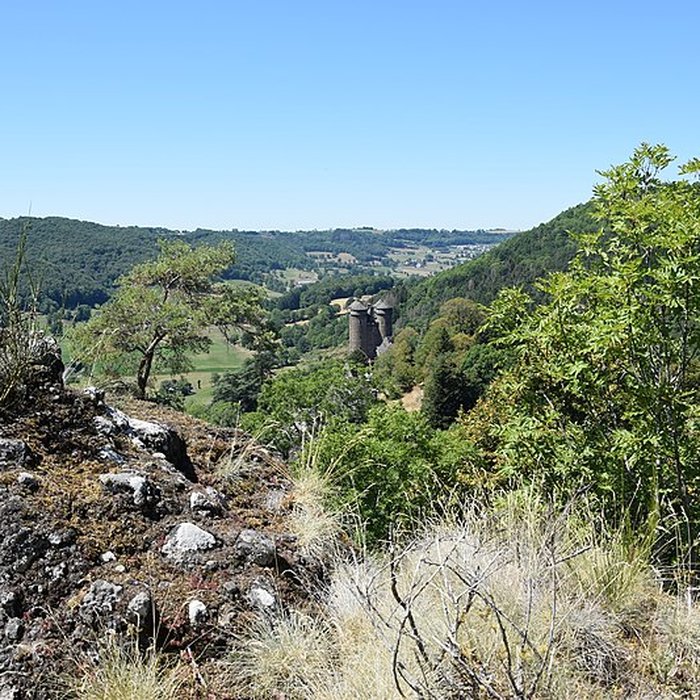 Photo de Château dAnjony
