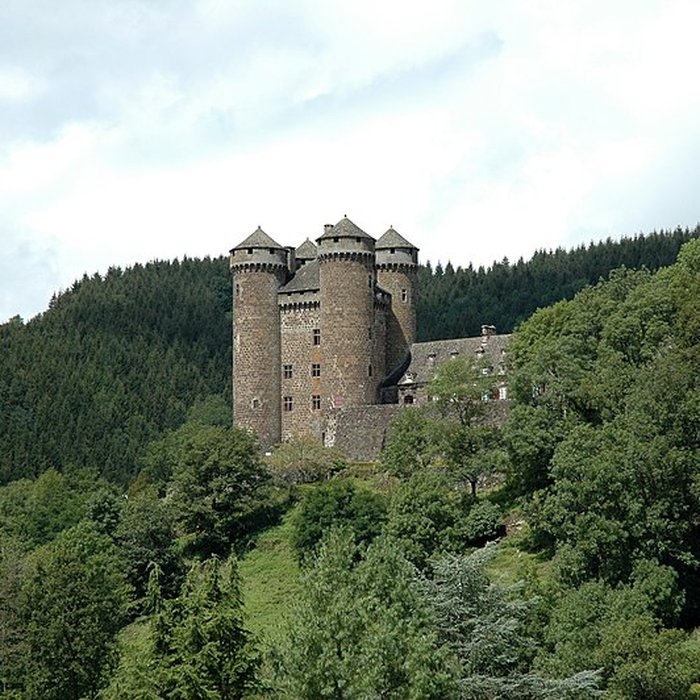 Photo de Château dAnjony