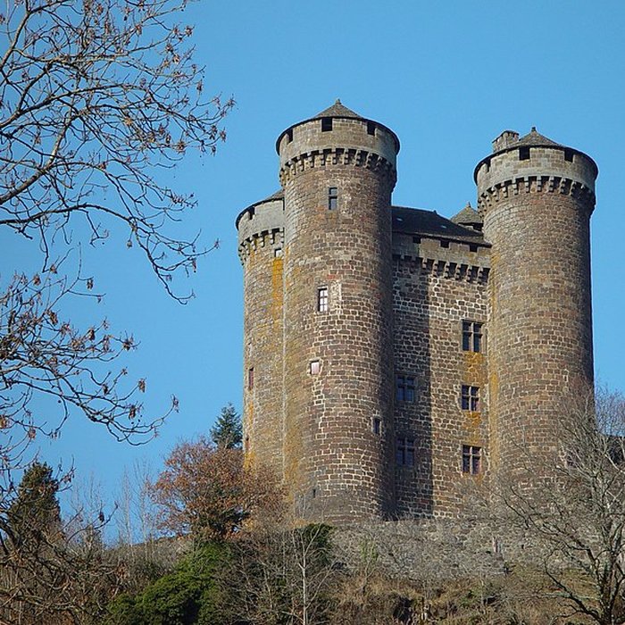 Photo de Château dAnjony