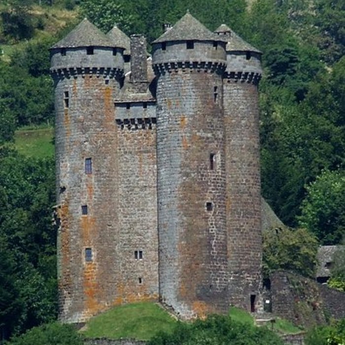 Photo de Château dAnjony