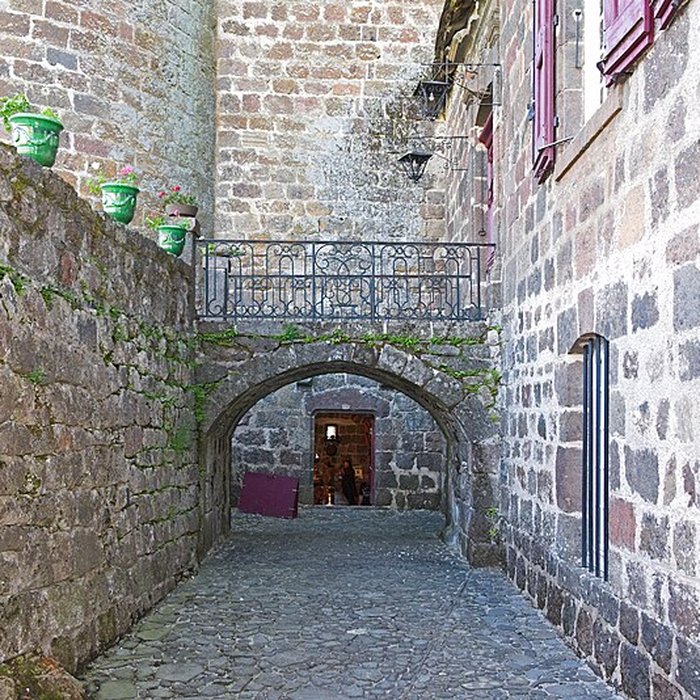 Photo de Château dAnjony