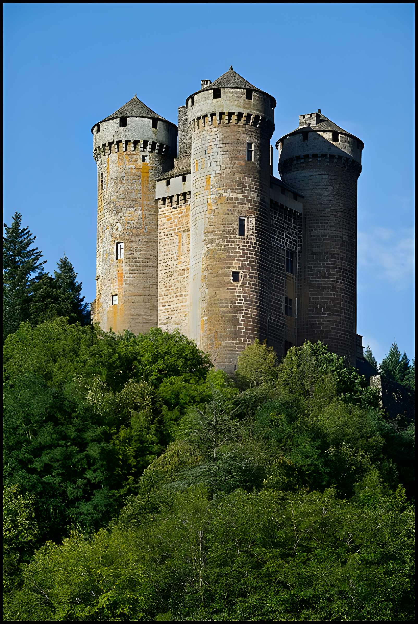 Château d'Anjony