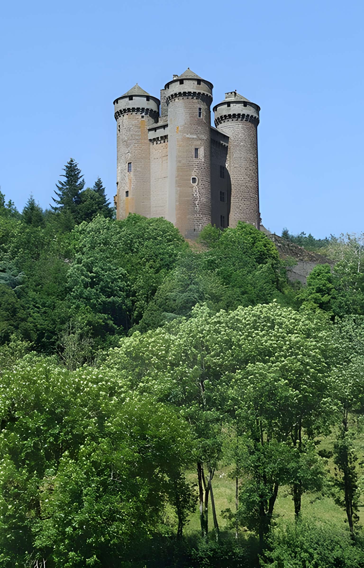 Château d'Anjony