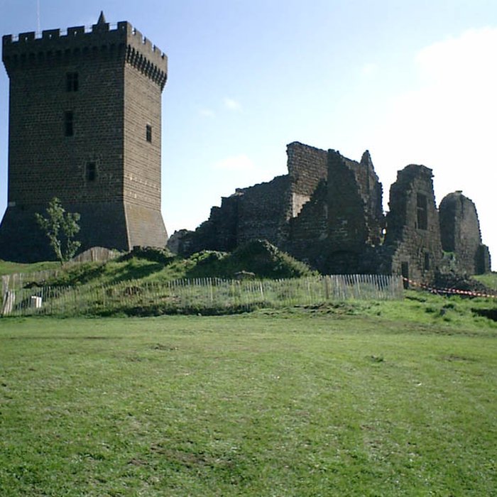 Photo de Ruines du château fort