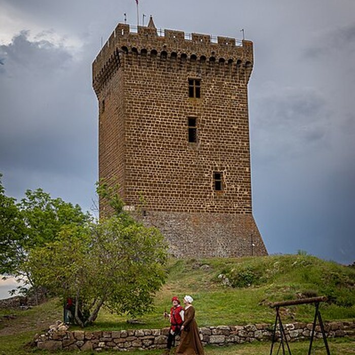 Photo de Ruines du château fort