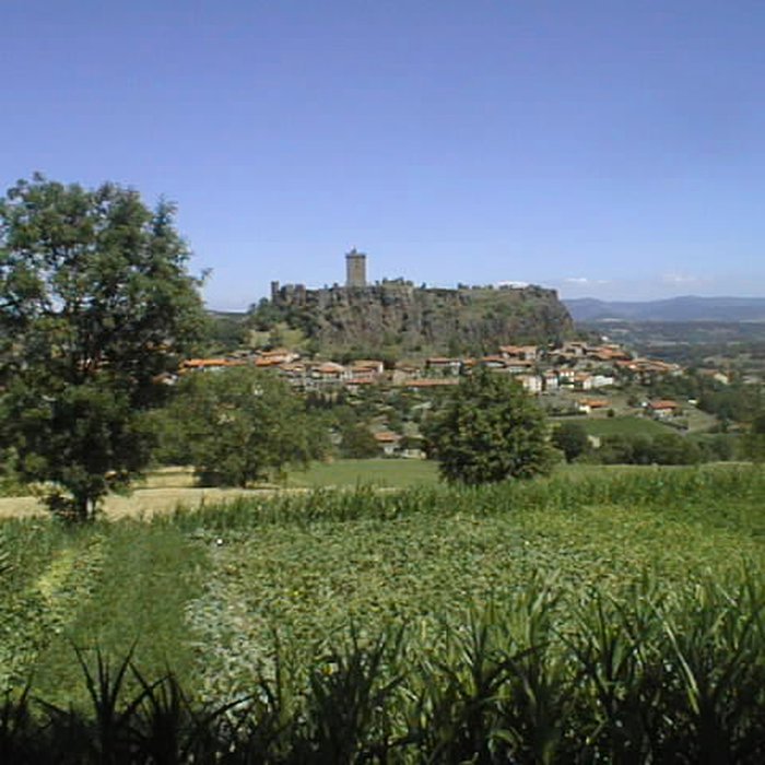 Photo de Ruines du château fort