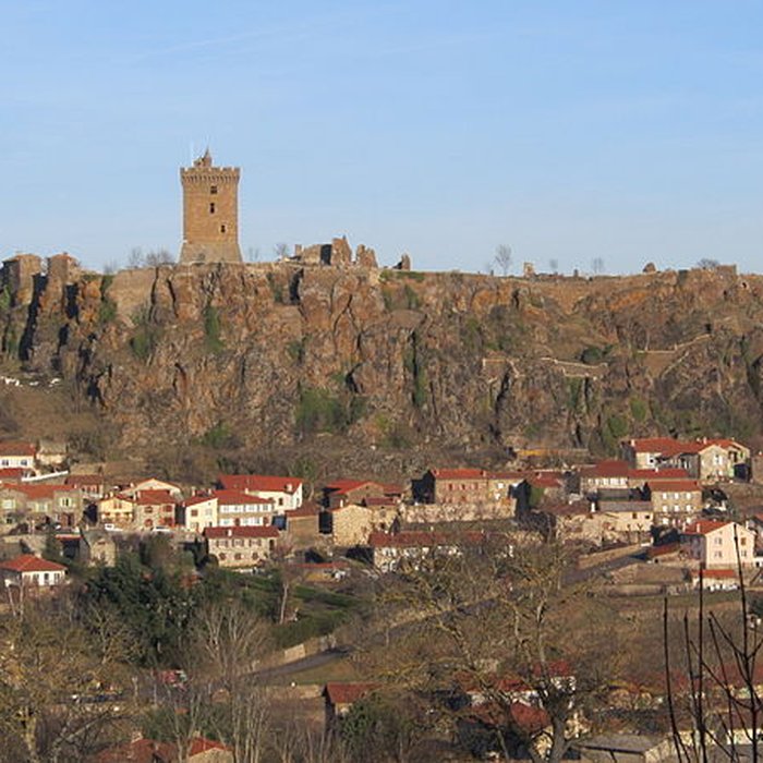 Photo de Ruines du château fort