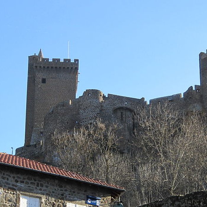Photo de Ruines du château fort