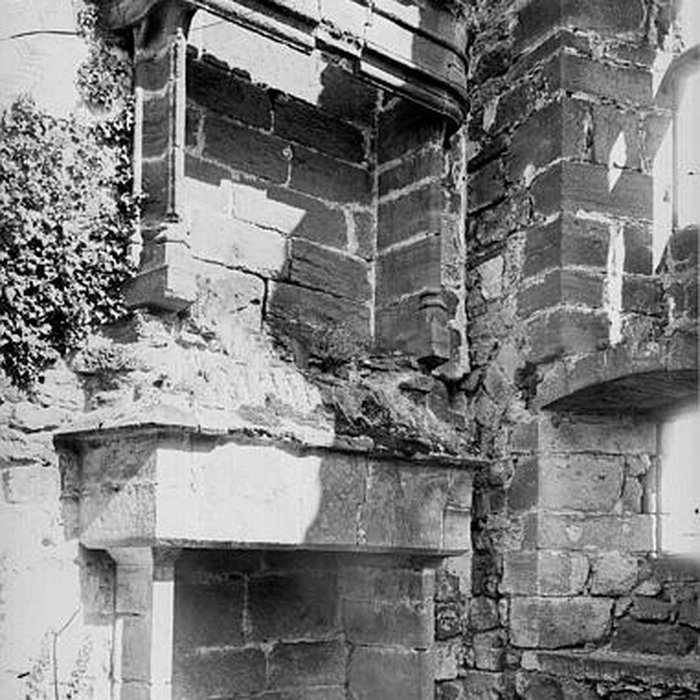 Photo de Ruines du château fort