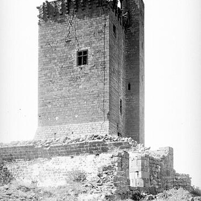 Photo de Ruines du château fort