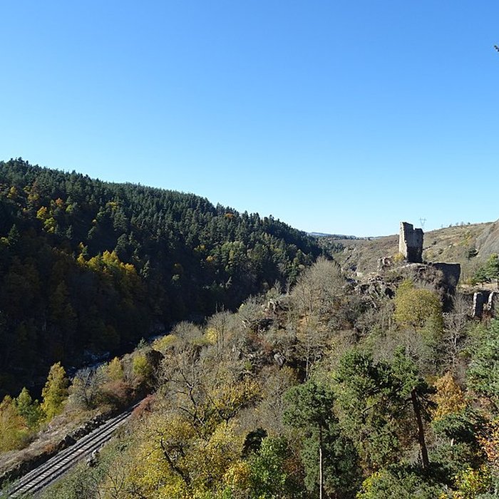 Photo de Ruines du château de Jonchères