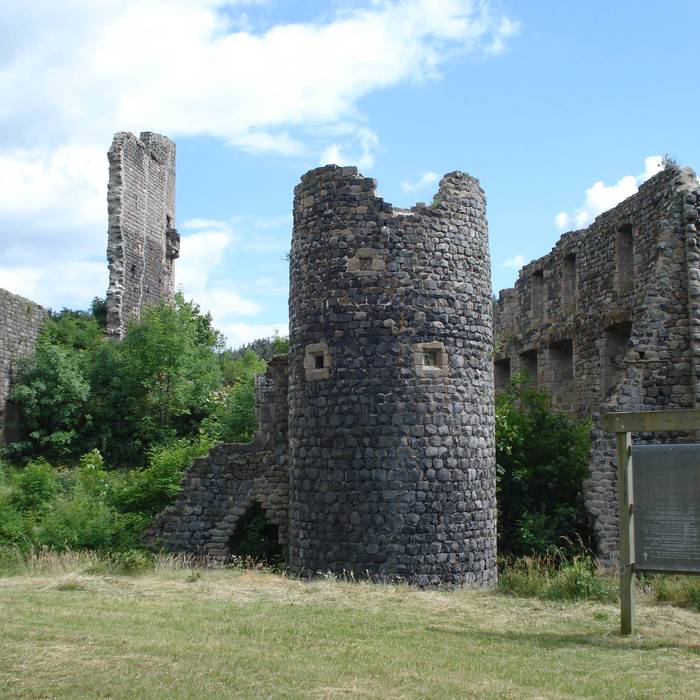 Photo de Ruinas del castillo de Jonchères
