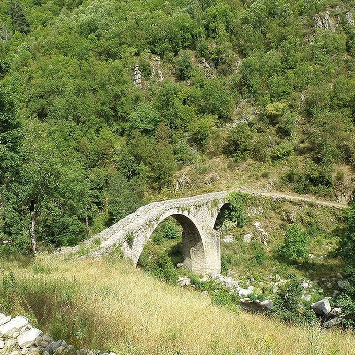 Photo de Vieux Pont dit Pont du Diable
