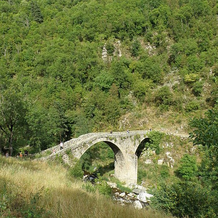 Photo de Vieux Pont dit Pont du Diable