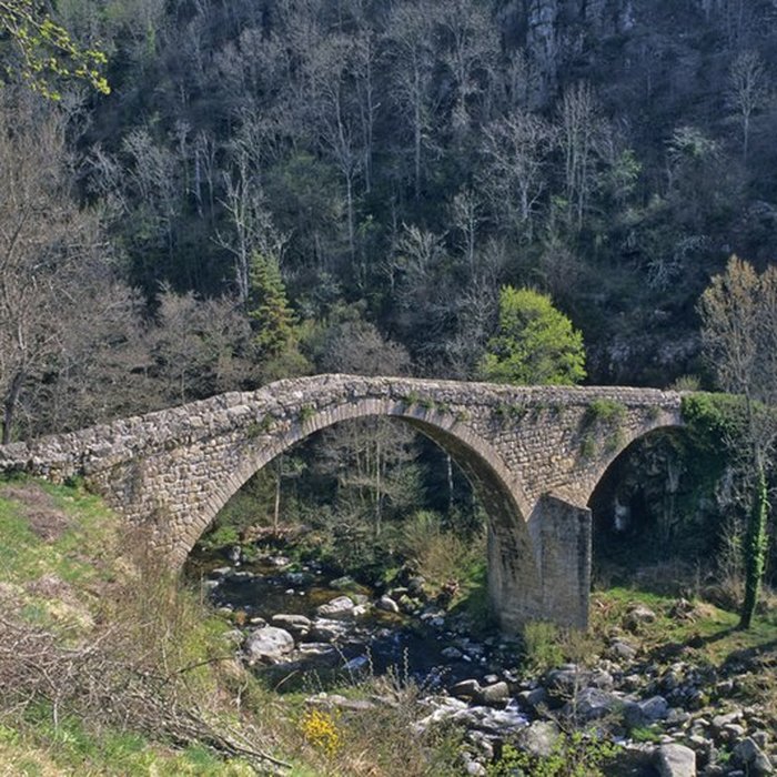 Photo de Vieux Pont dit Pont du Diable