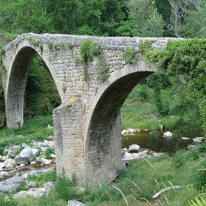 Photo de Vieux Pont dit Pont du Diable