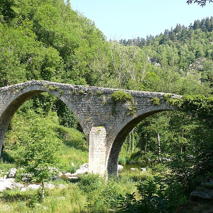 Photo de Vieux Pont dit Pont du Diable