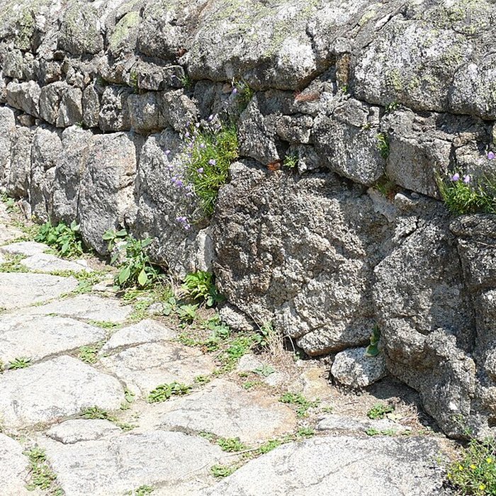 Photo de Vieux Pont dit Pont du Diable