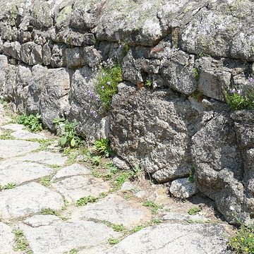 Vieux Pont dit Pont du Diable