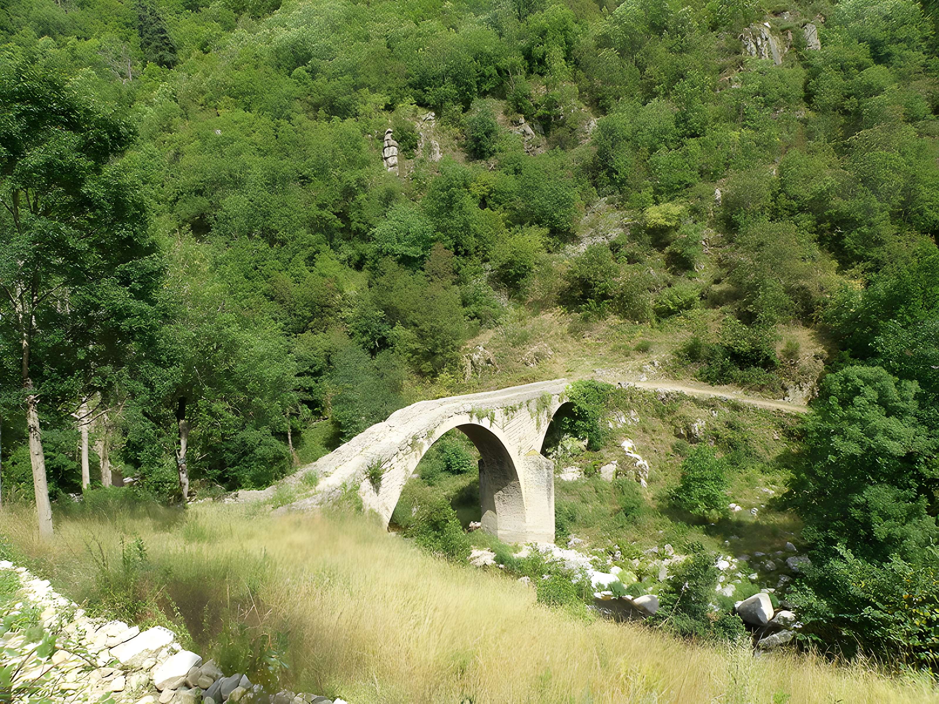 Vieux Pont dit Pont du Diable