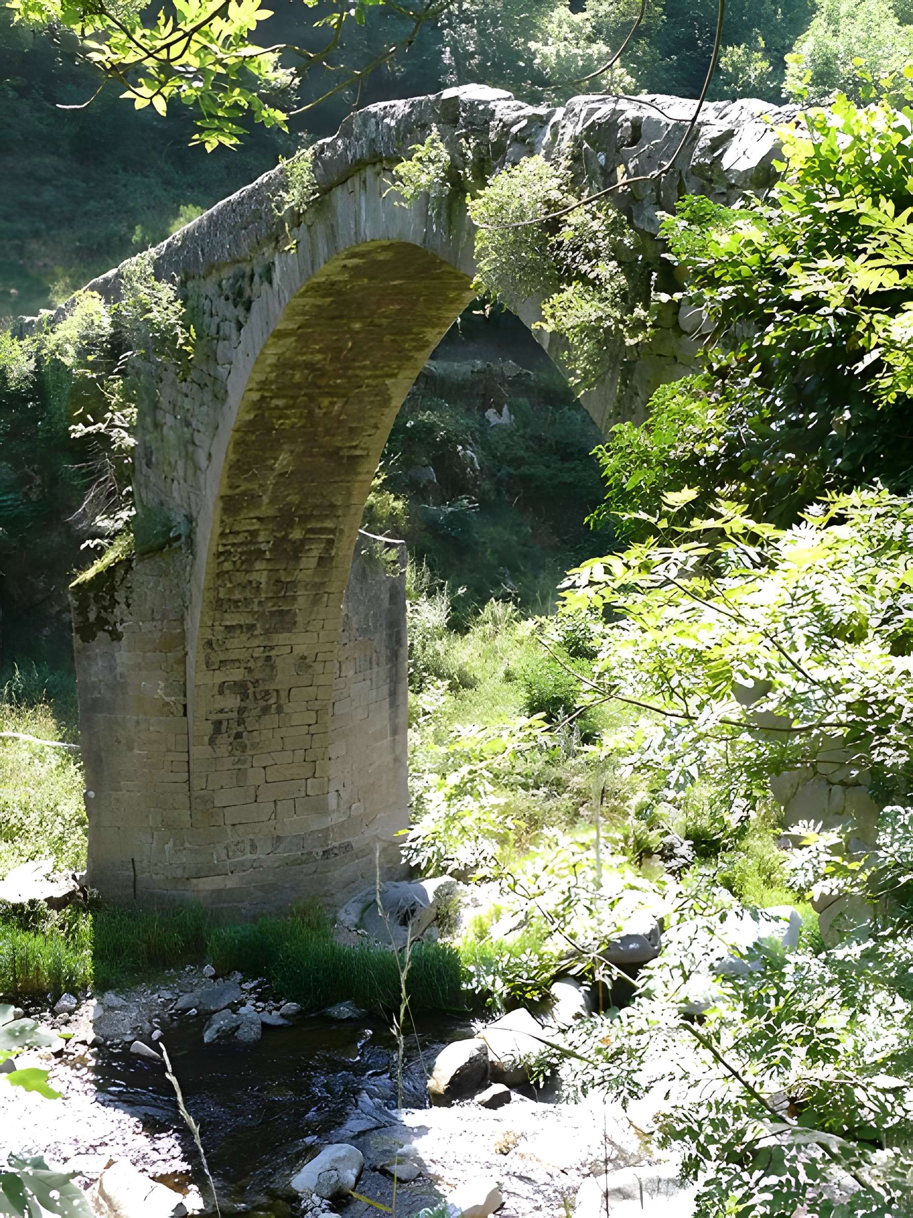 Vieux Pont dit Pont du Diable