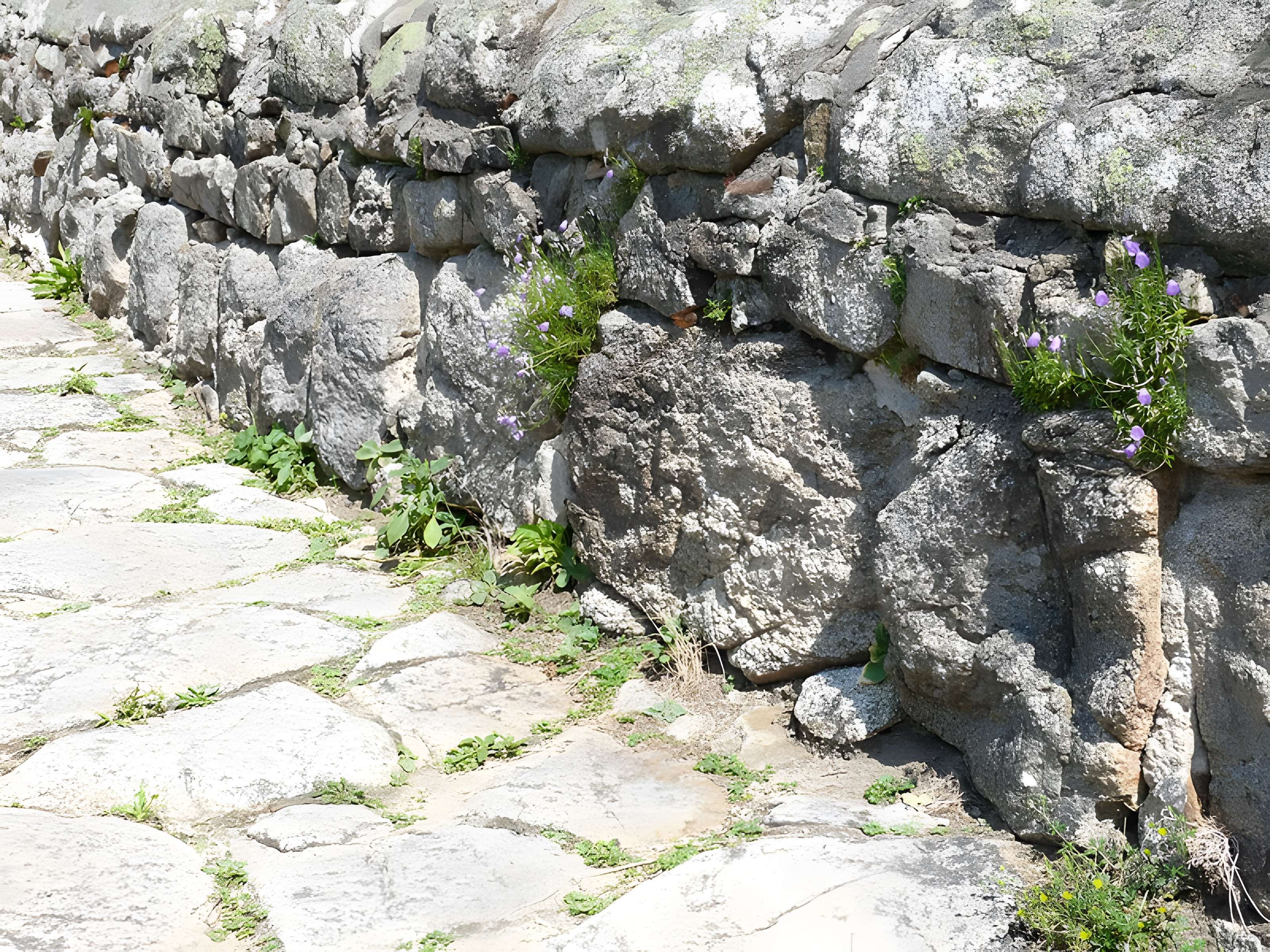 Vieux Pont dit Pont du Diable