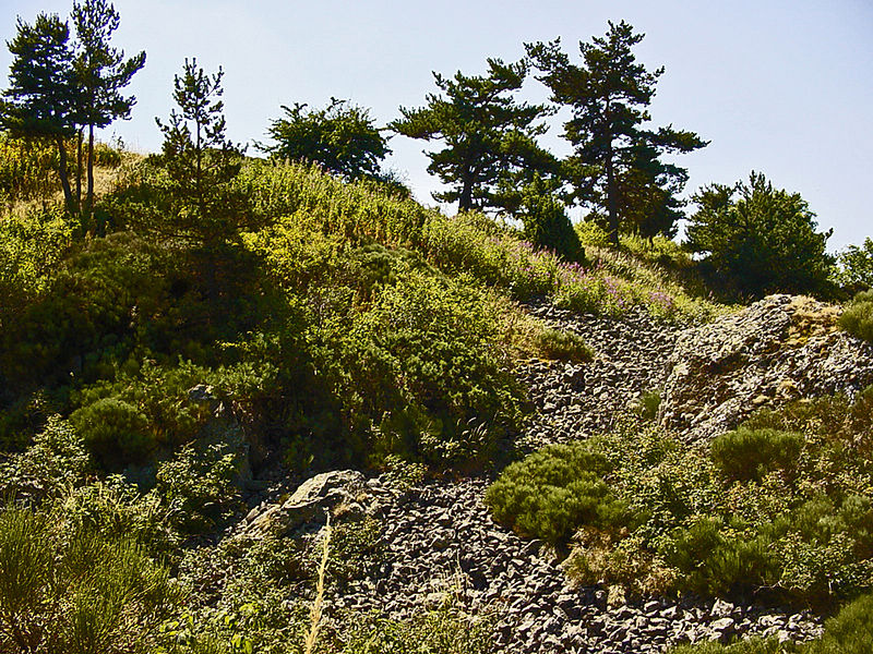 Photo de Campo di Antoune