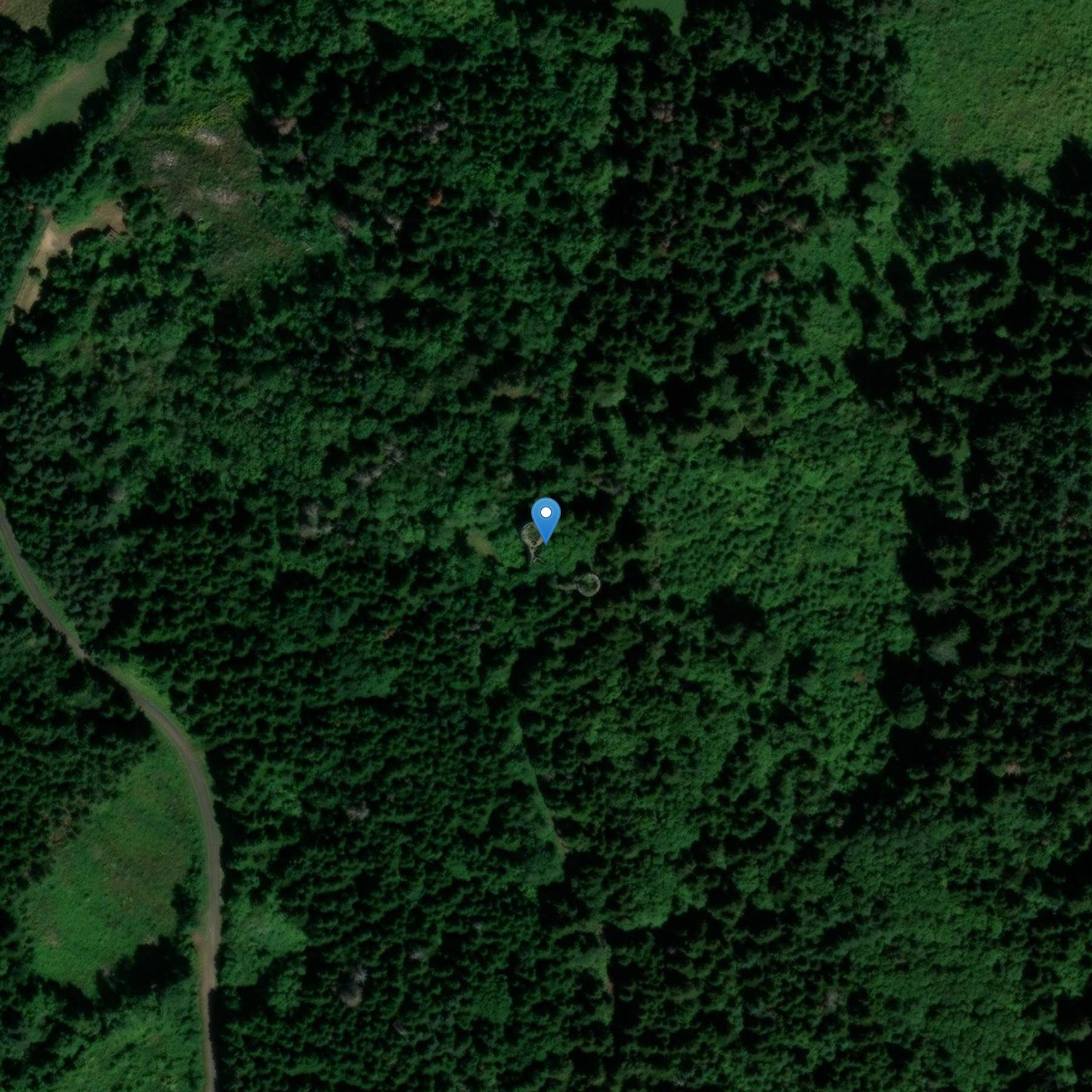 Photo de Rovine del castello