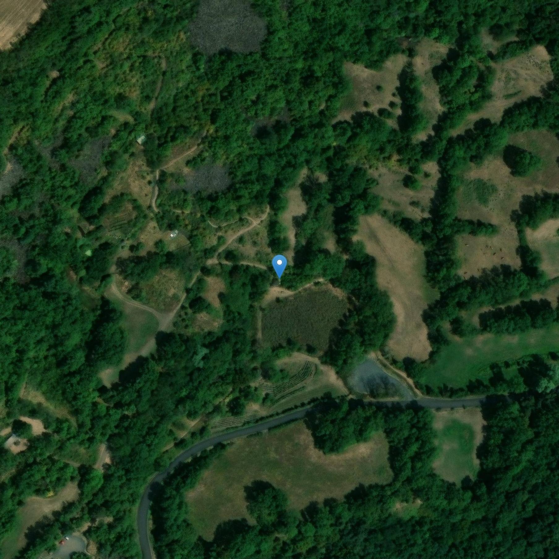 Photo de Chibotte du bois de Lirate