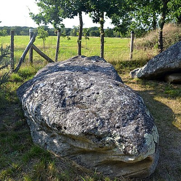 Photo de Pierre des Platennes