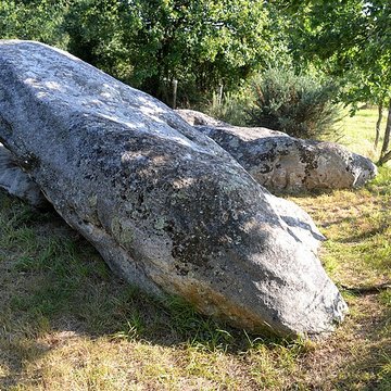 Pierre des Platennes