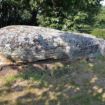 Pierre des Platennes