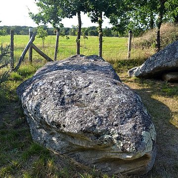 Pierre des Platennes