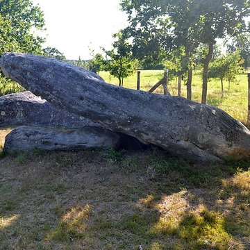 Pierre des Platennes