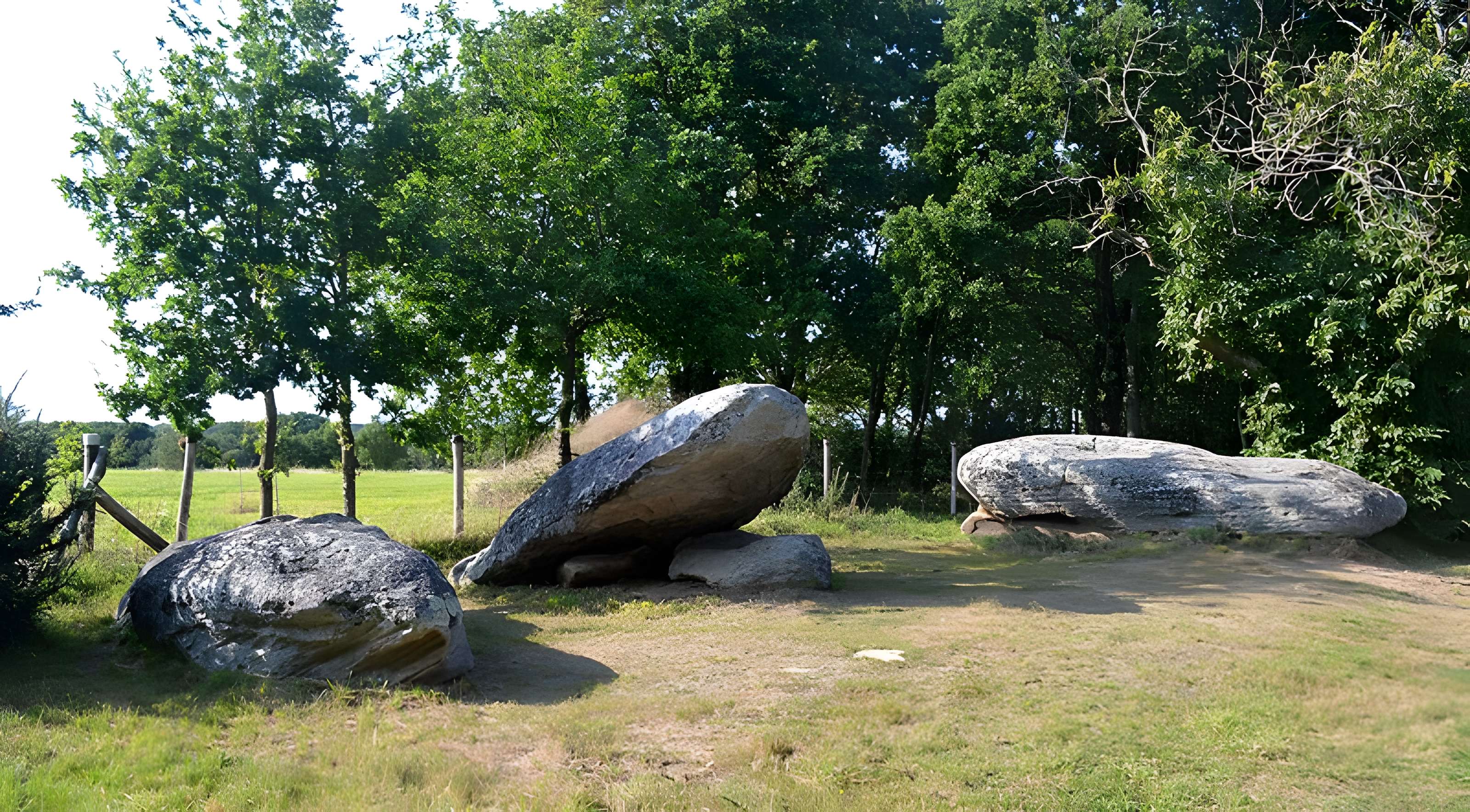 Pierre des Platennes