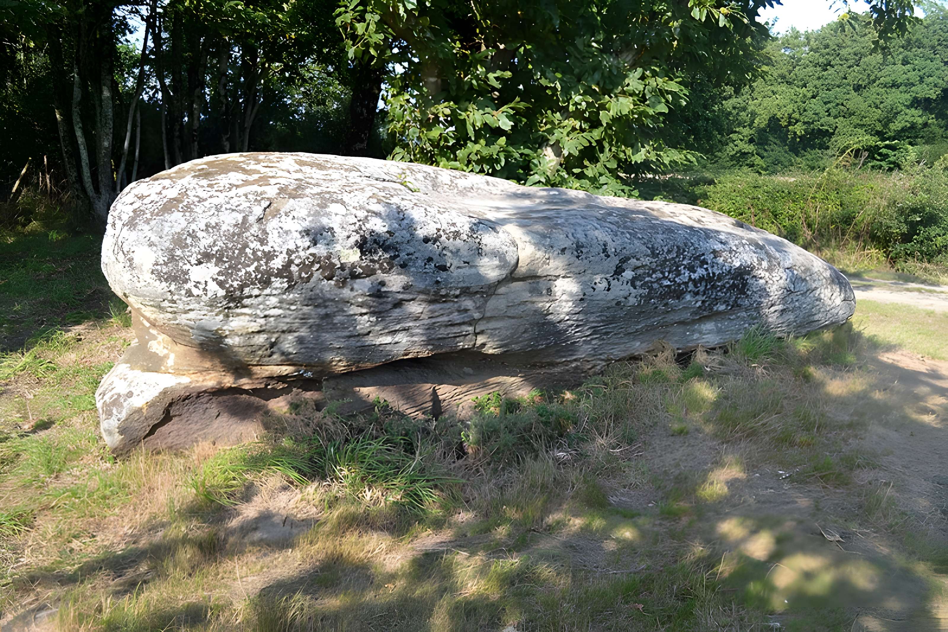 Pierre des Platennes