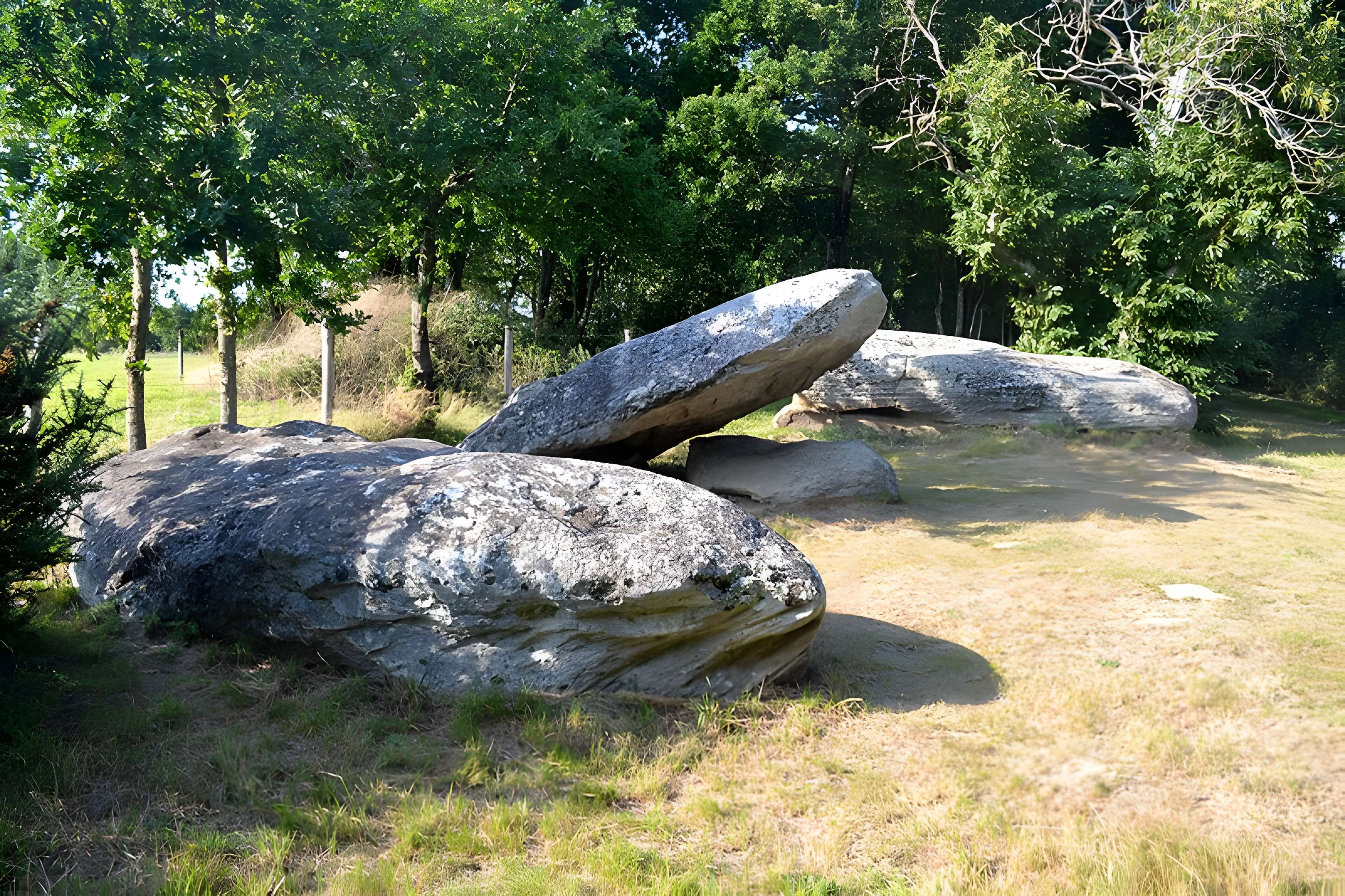 Pierre des Platennes